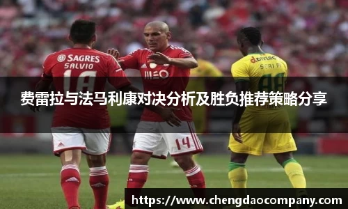 费雷拉与法马利康对决分析及胜负推荐策略分享